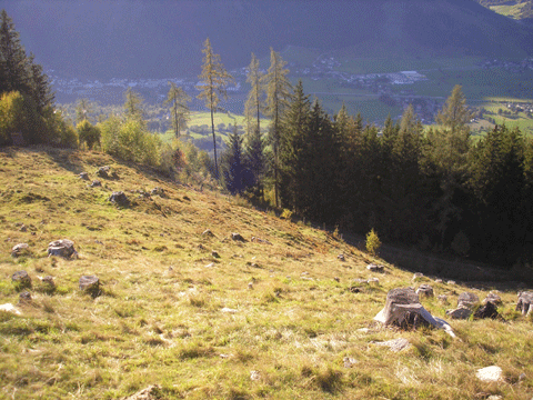 Startovaka - moná kdysi