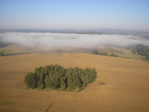 Mlha v okolí